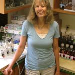 Uta Passow, a researcher in UC Santa Barbara's Marine Science Institute, spent most of the past year in the Gulf of Mexico analyzing the environmental impact of oil spilled as a result of the Deepwater Horizon disaster in April 2010. 