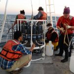 Dr. Ian MacDonald with Florida State University (FSU) and Dr. Richard Snyder with the University of West Florida (UWF) have been leading a research team to track and identify oil in sediment and water samples since January 2011.